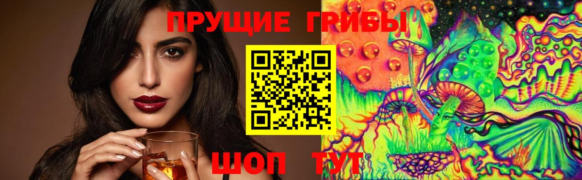 Псилоцибиновые грибы Psilocybine cubensis Кудымкар